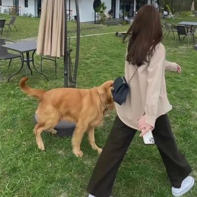 杀手们